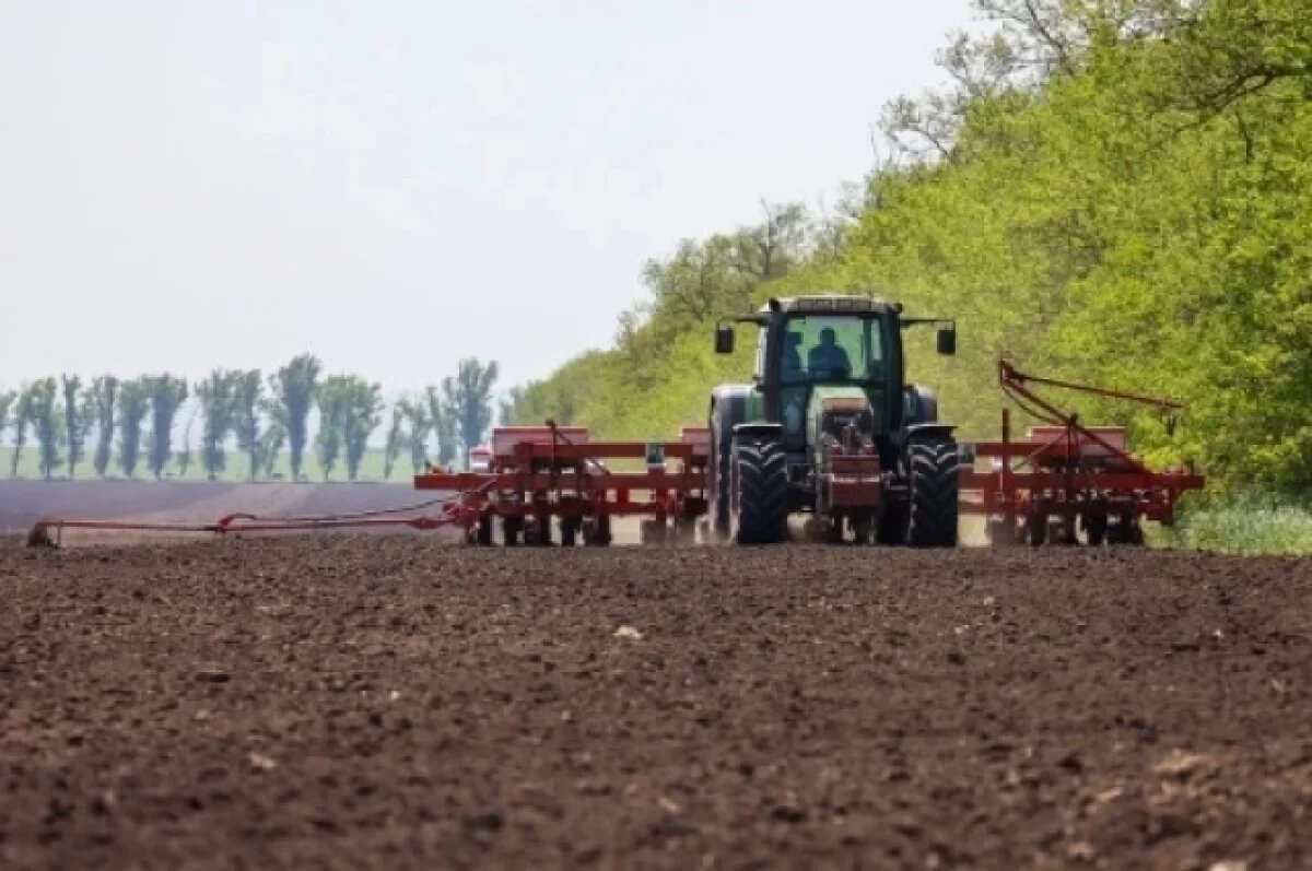    В Ростовской области ранними яровыми культурами засеян почти 1 млн га