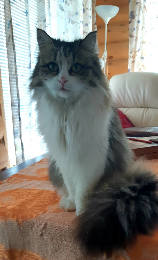 Куда привезли? Когда домой?