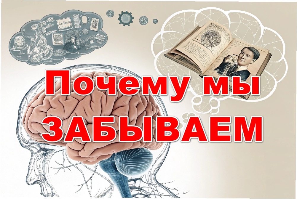Почему мы забываем
