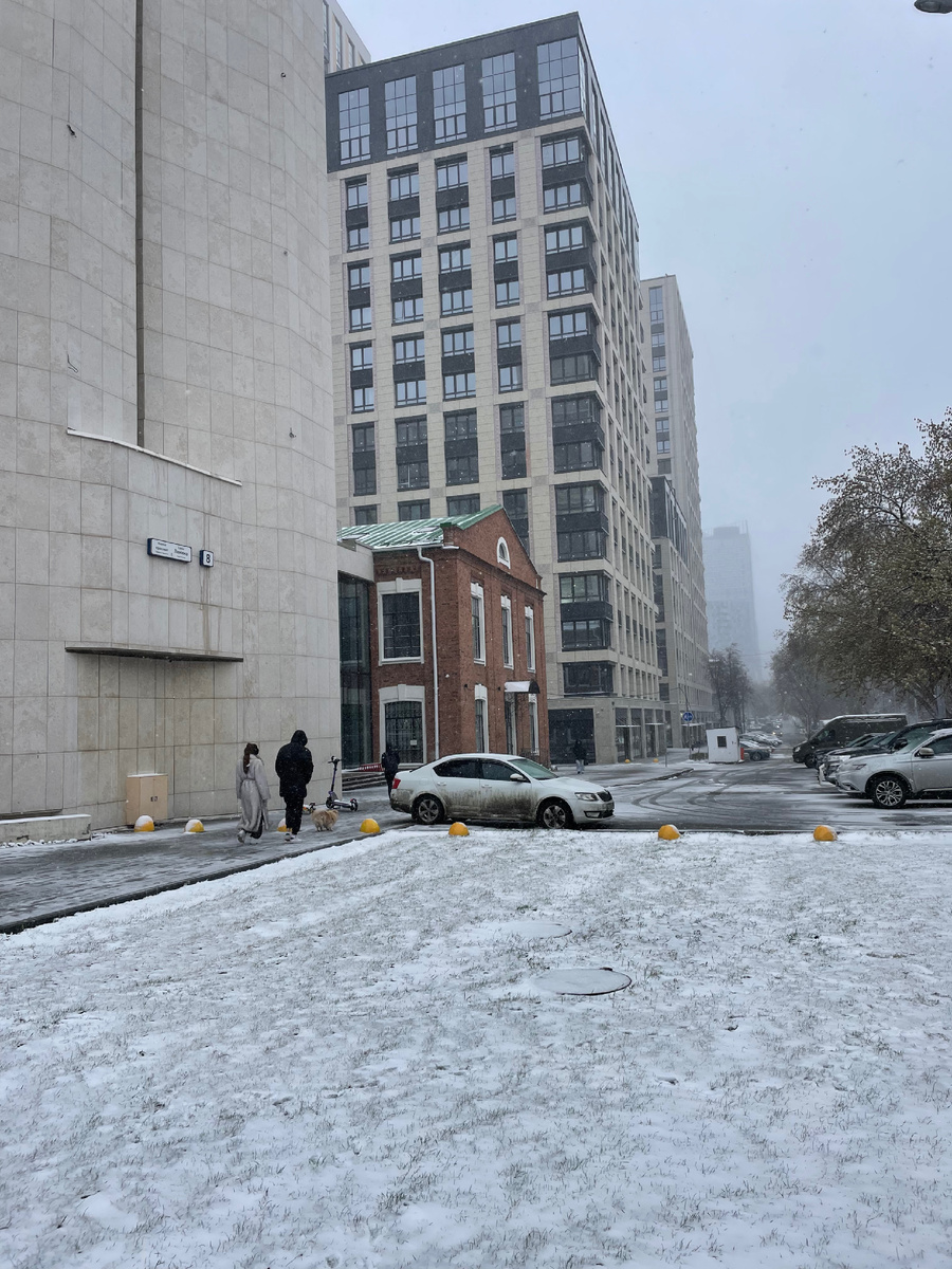 Снег растаял за день 