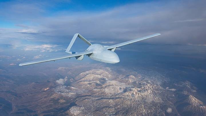  Фото: Shutterstock