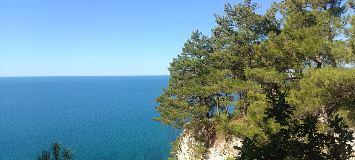 Море,горы,лес