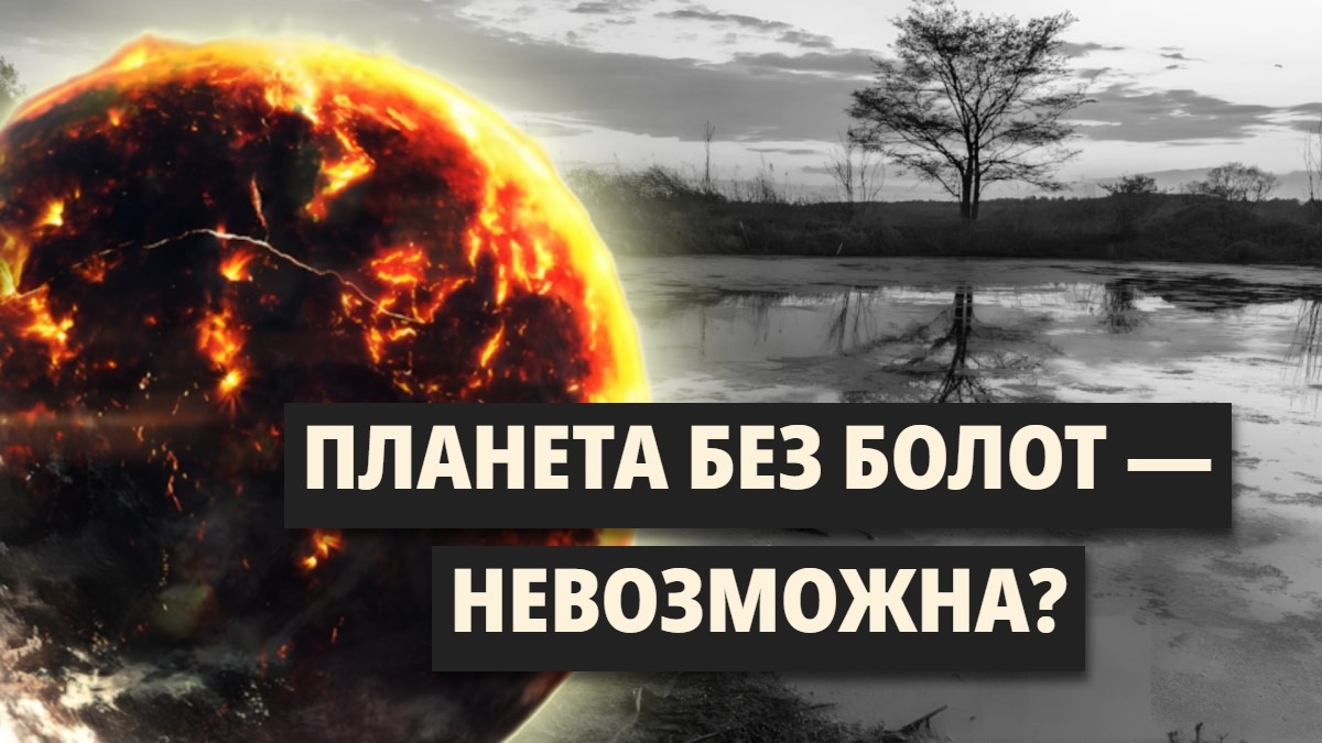 Что произойдет если осушить все болота? И были ли такие попытки? К чему они могли привести...