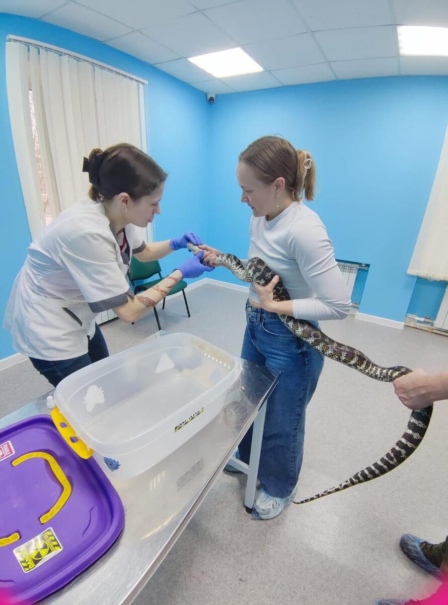 Зачем нужен ветеринар герпетолог и чем он занимается