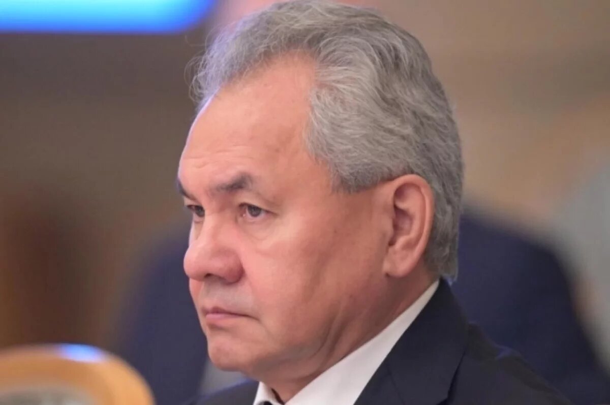    Шойгу: Россия не питает иллюзий насчет договороспособности Украины