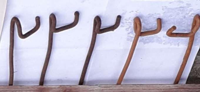 Фото 2. Универсальные стойки для поддержки кустов и томатов