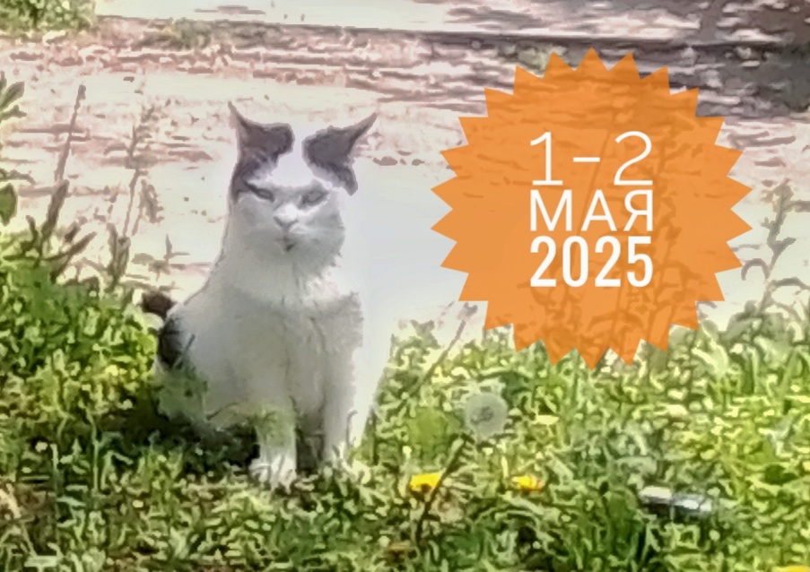 Мир, труд, май