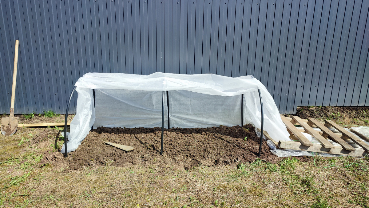 Это фото недельной давности