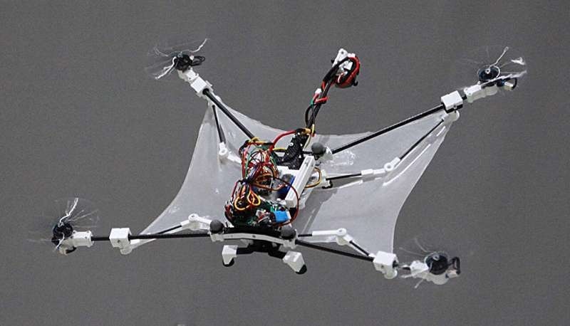 Источник: Dohyeon Lee, Jun-Gill Kang, Soohee Han  📷
