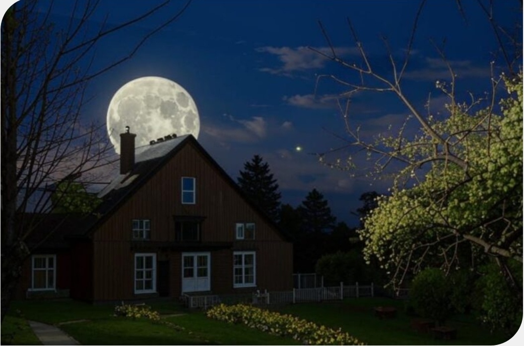 Фото с простор интернета 