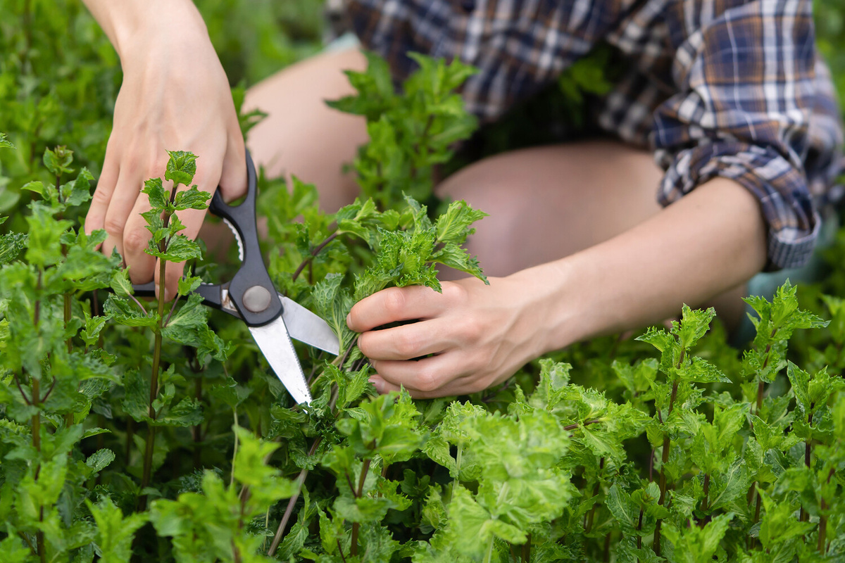    Фото: gazeta.ru Георгий