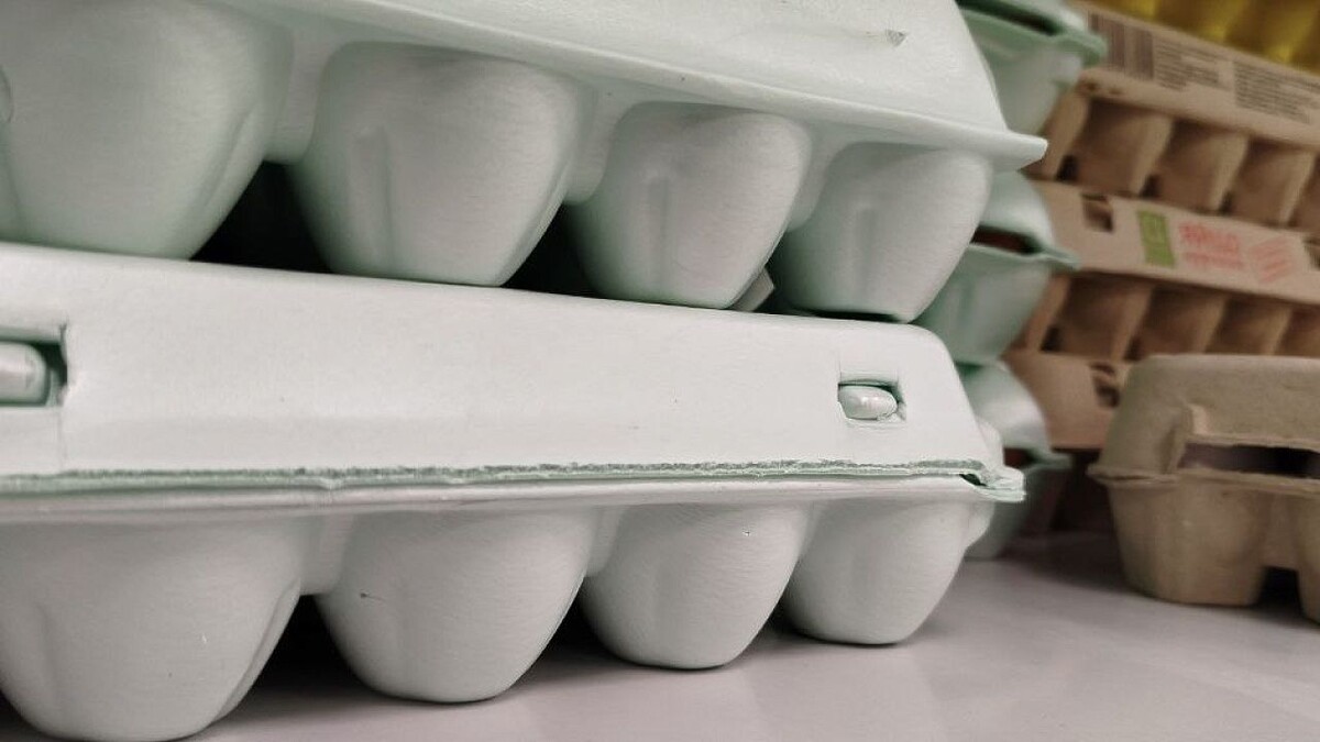    Фото: телеканал «Краснодар»