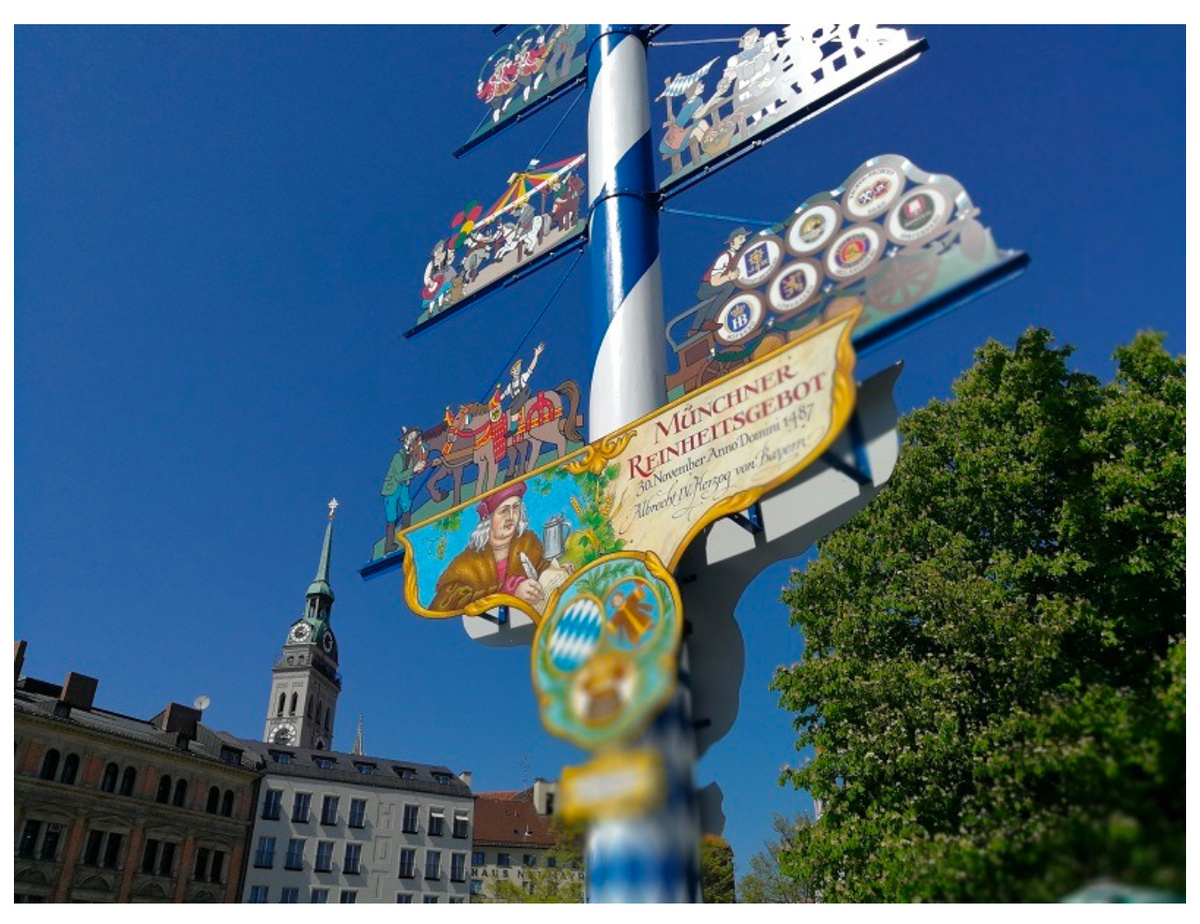 Источник: https://www.go2munich.ru/majjskoe-derevo-v-germanii-vekovye-tradicii-i-obychai-kultury/