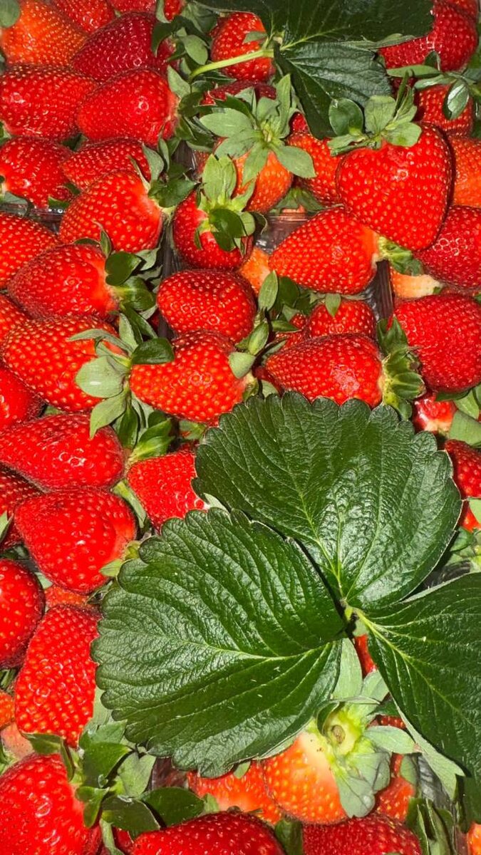 Сериальный психолог. Клубника от Аси Анатольевны 