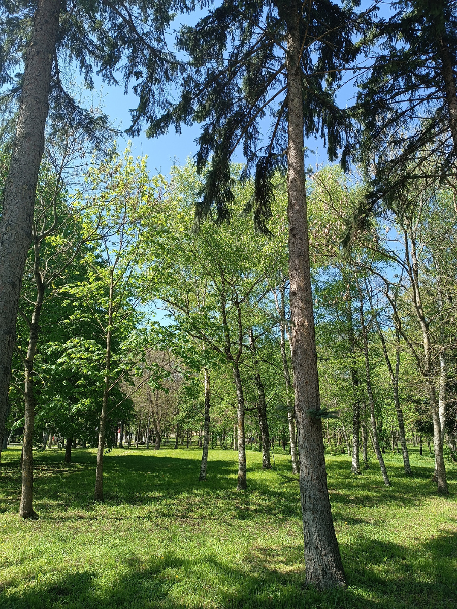 Парк Победы сегодня.) 