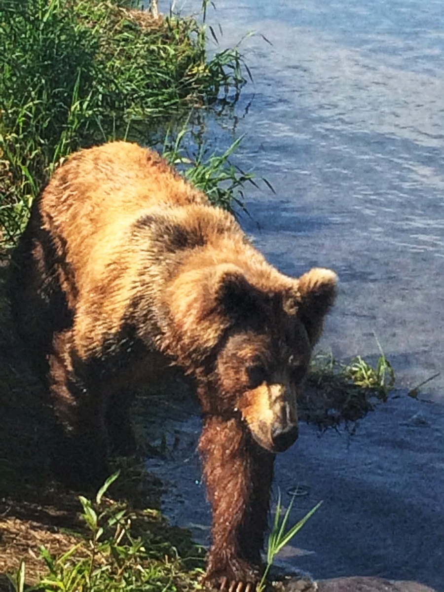 Фото сделал мой друг 