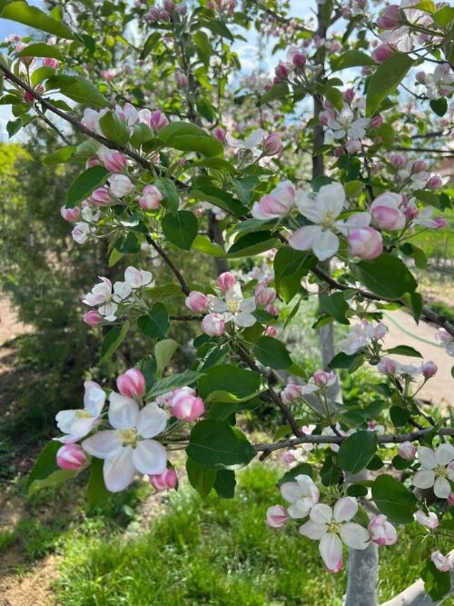 апрель 2025 года