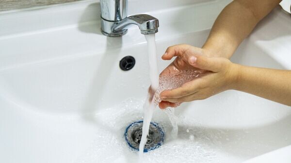    © Sputnik / Mihai Caraus