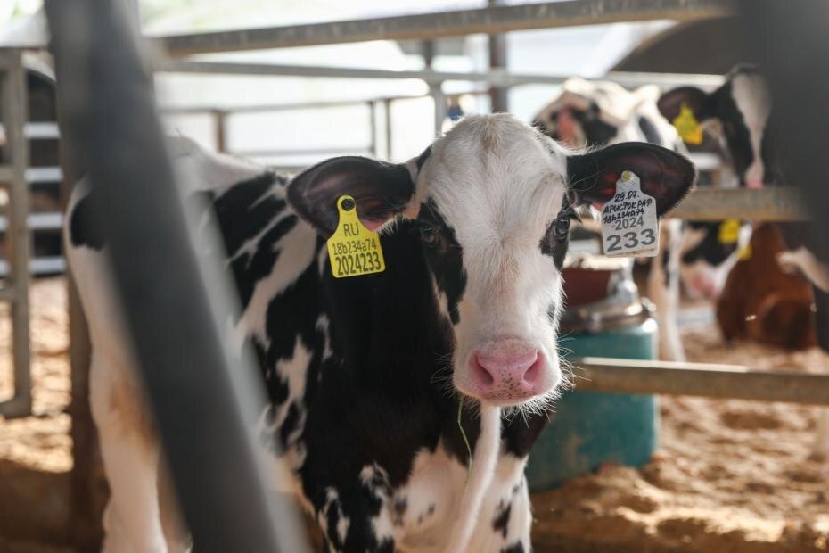    Наталья Шатохина/NEWS.ru