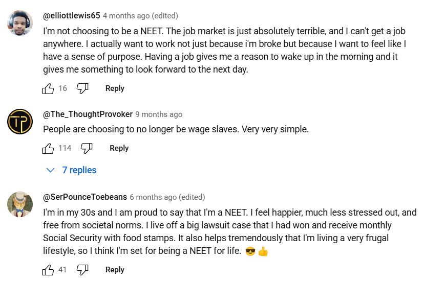 Пара комментариев с YouTube, где видно, как люди используют слово NEET