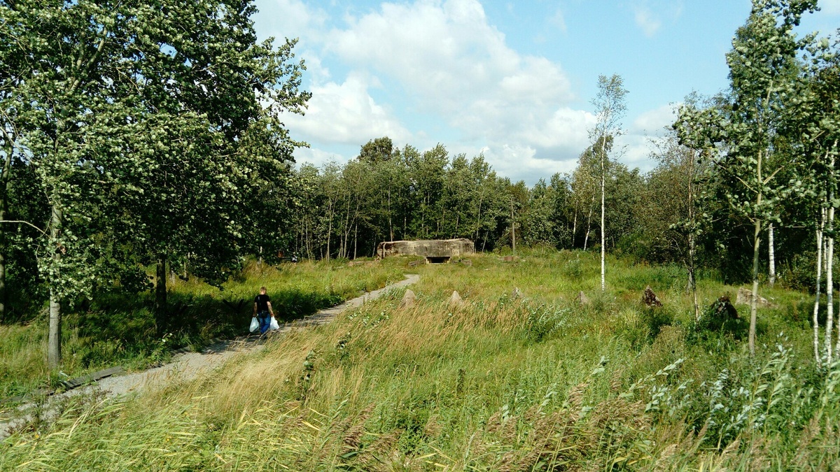 Источник: wikipedia.org Автор: Messir CC BY-SA 4.0