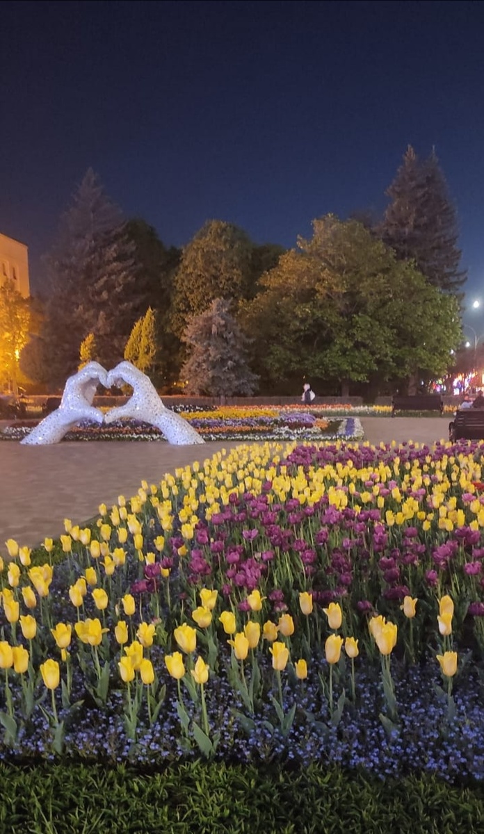 Клумбы в городе просто отдельный вид искусства! 