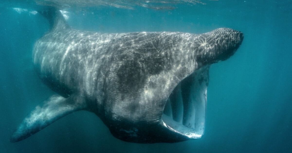 Источник: https://clck.ru/3LmzzB