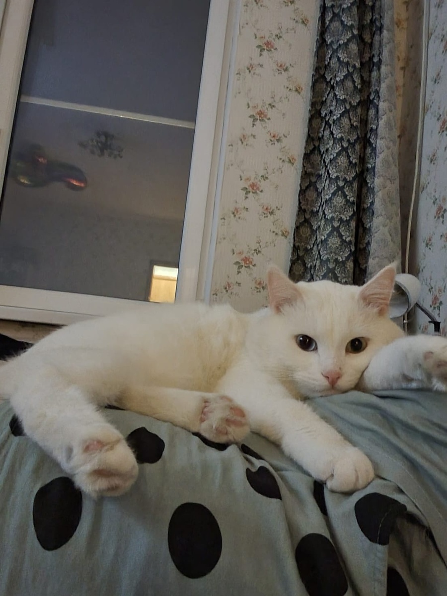 Тут уже видно, что взгляд другой. Потому что началась новая жизнь