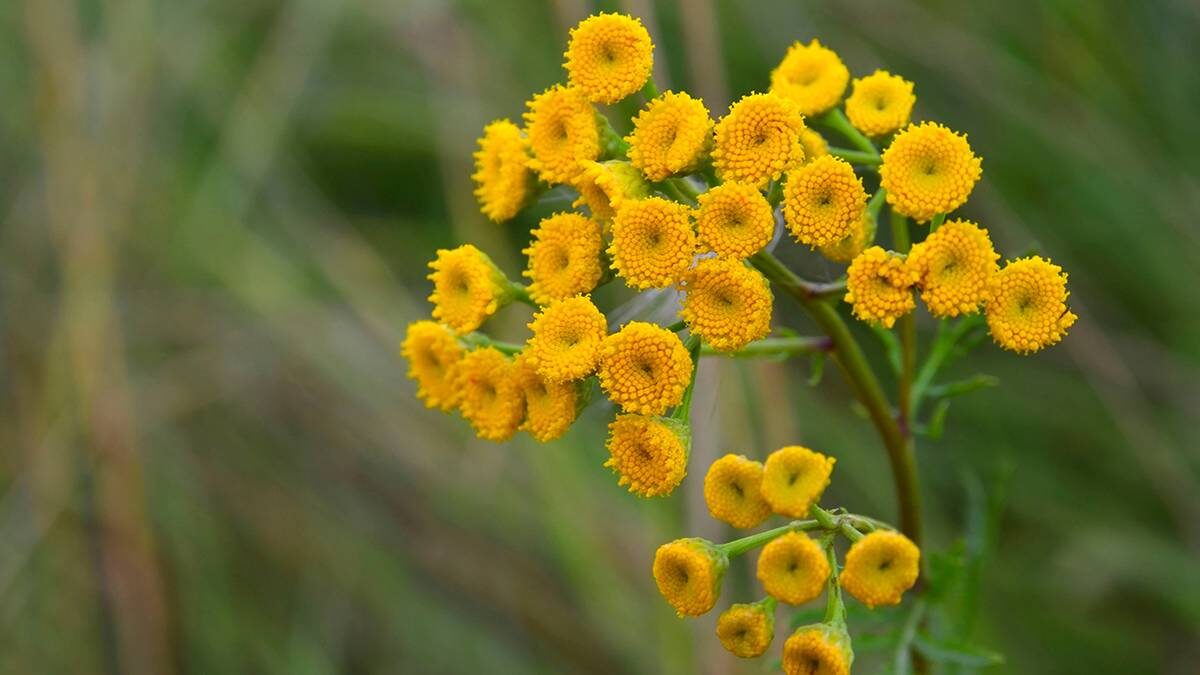    Фото: shutterstock