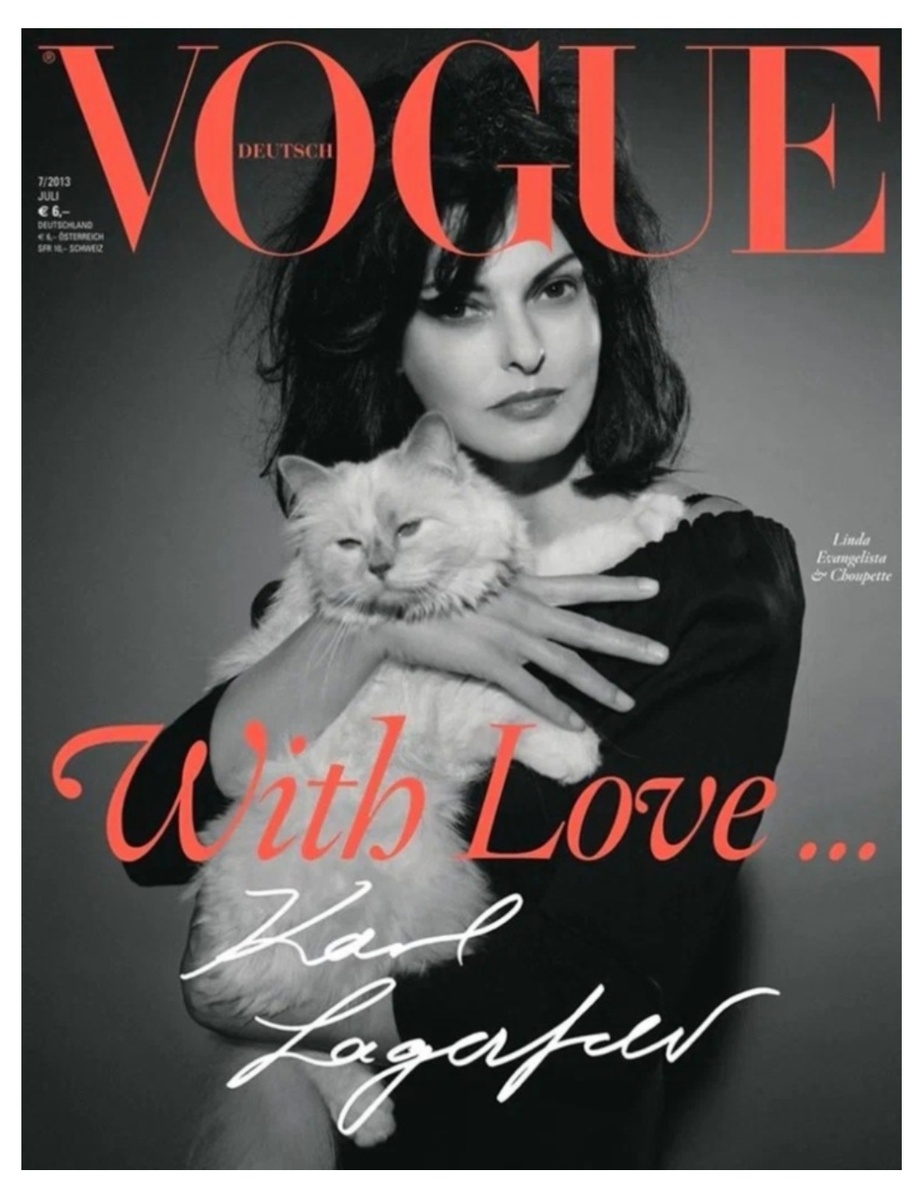 Фото из свободного источника интернета.