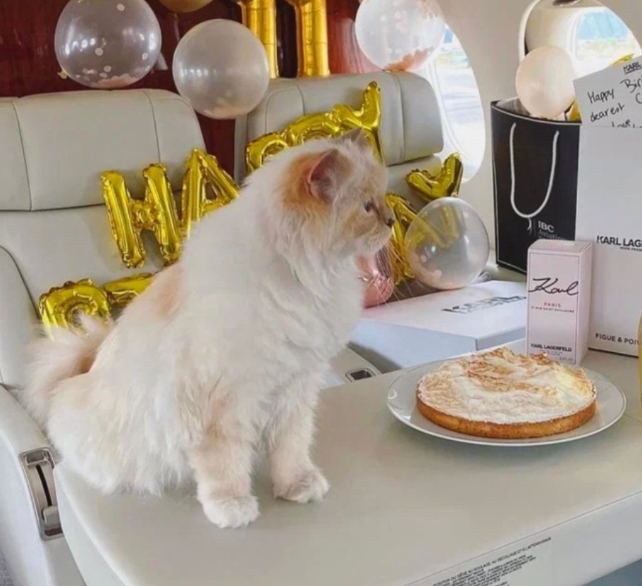 Фото из свободного источника интернета.