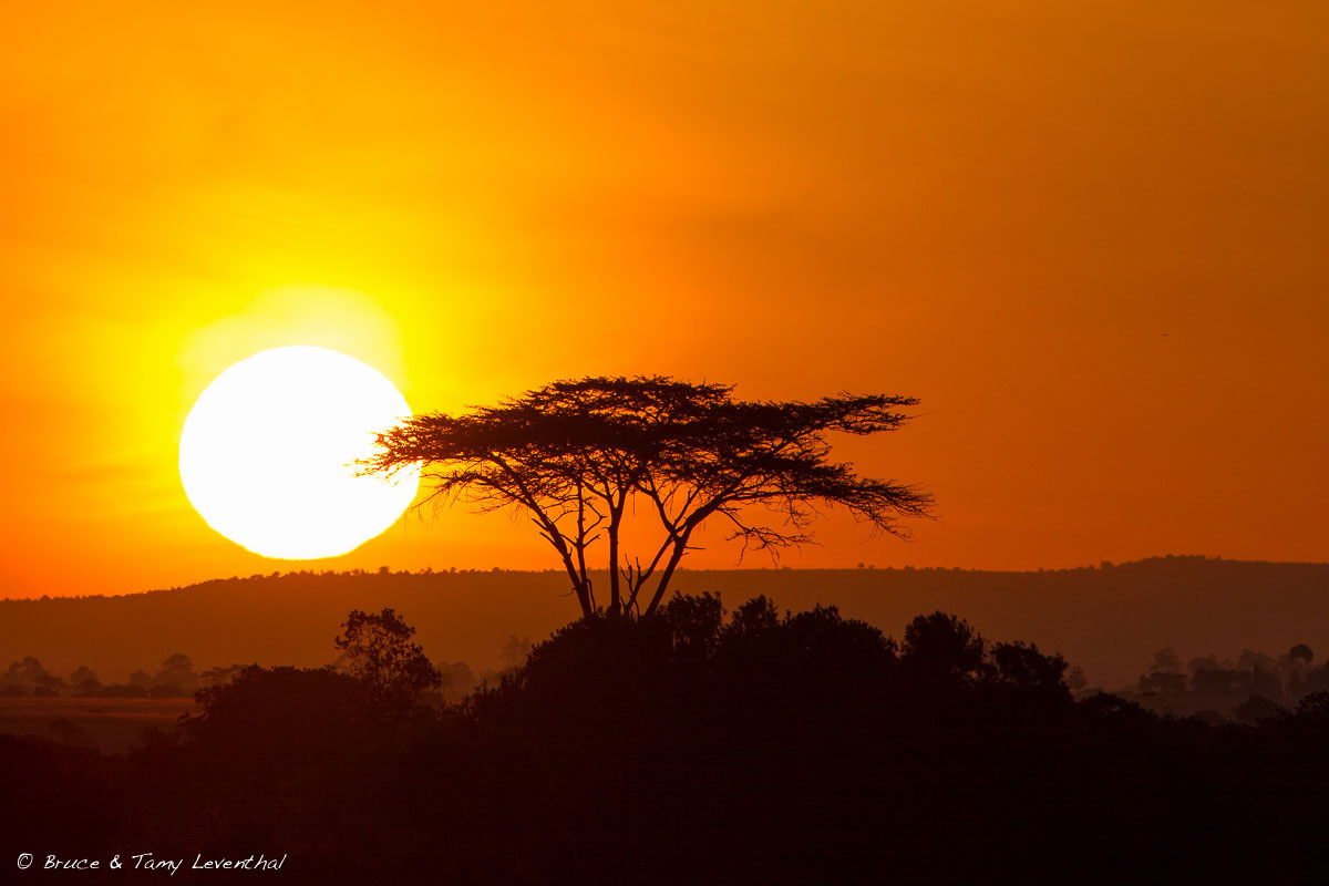 Из открытых источников.