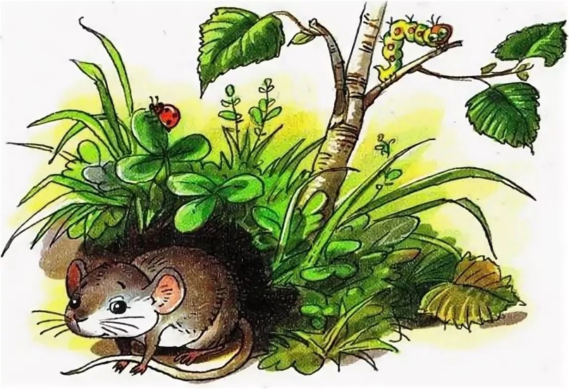 Мышка Пискуха