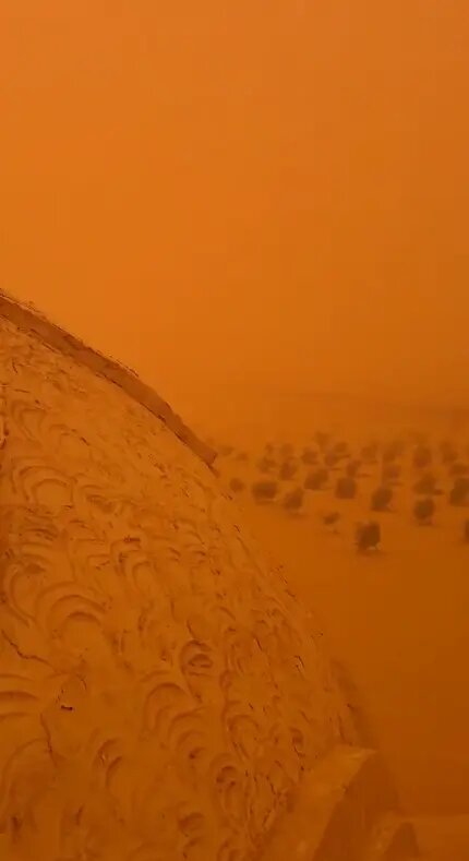    Фото: скриншот видео из соцсетей