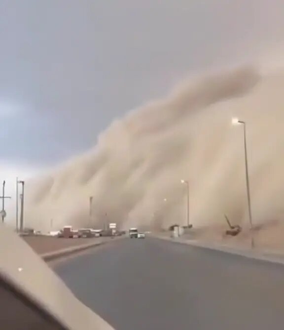    Фото: скриншот видео из соцсетей