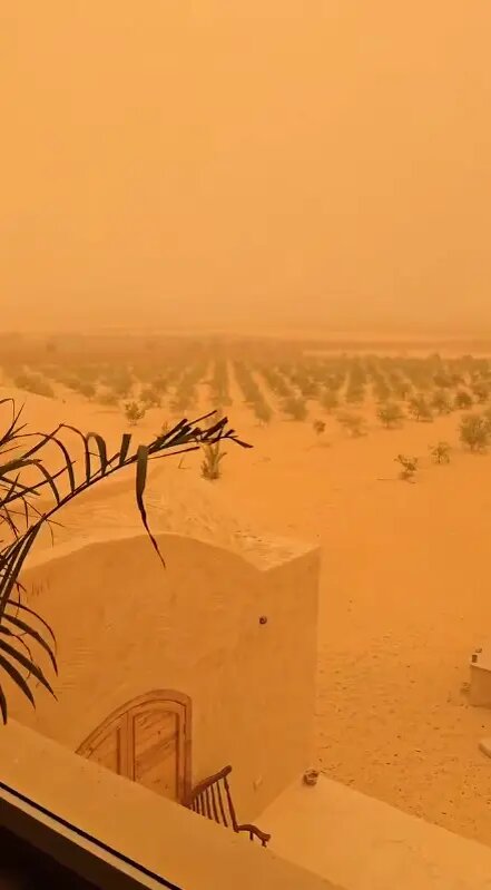    Фото: скриншот видео из соцсетей