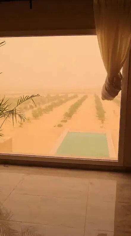    Фото: скриншот видео из соцсетей