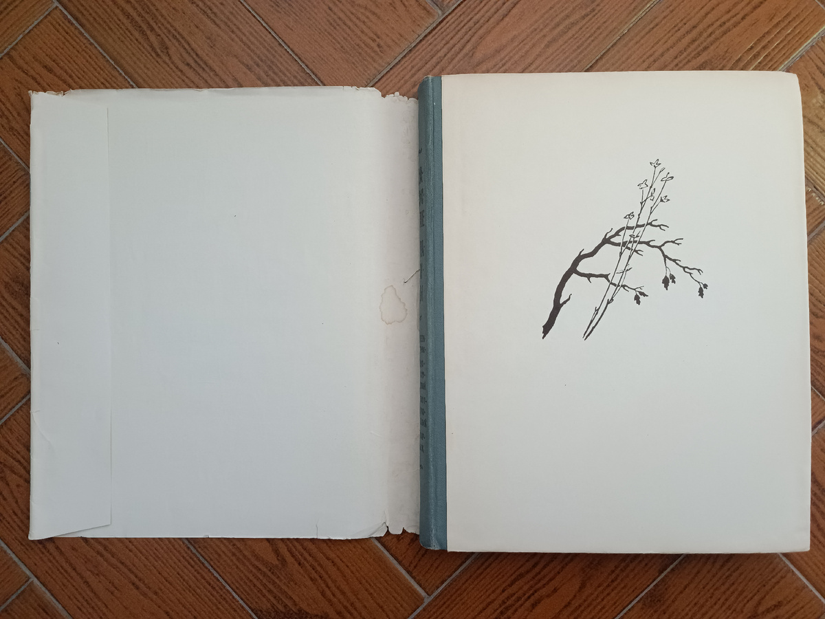 Обложка самой книги