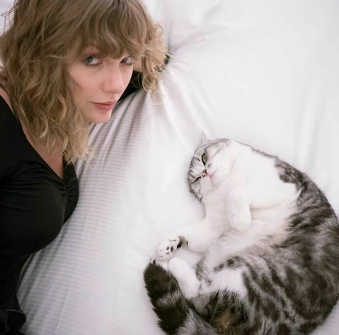 Фото из свободного источника интернета