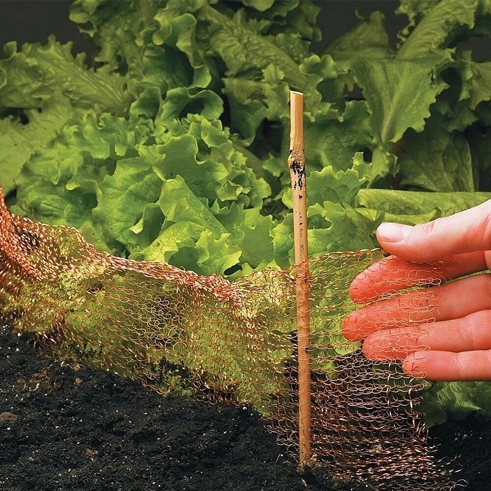 Медная сетка от слизней и улиток