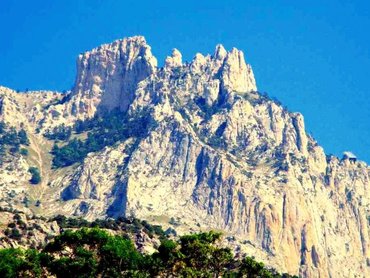 Яндекс картинка