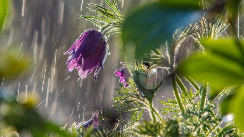 @EyeEm / freepik.com