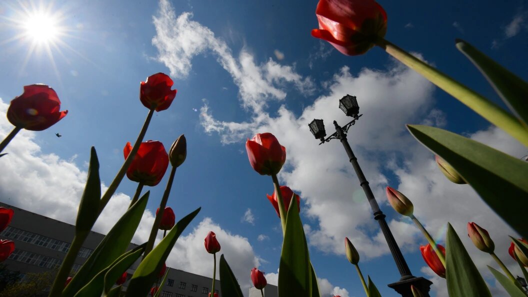    Фото: Dmitry Chasovitin/Global Look Press