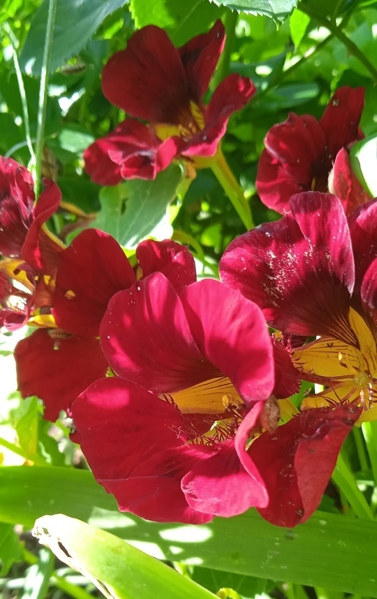 Все фото авторские 