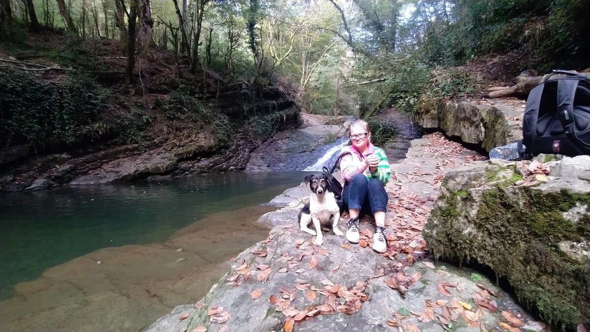 Собачка бежала за нами от самой остановки и присела рядом со мной как только  я села🤗