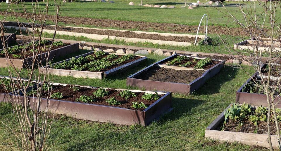    Maksim Konstantinov/Global Look Press / www.globallookpress.com