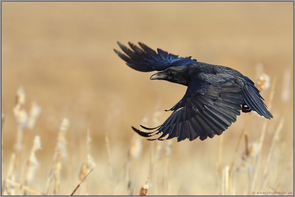 #жизньпосле50 #мужскаяперезагрузка #смелыерешения #второедыхание #мужскойклуб