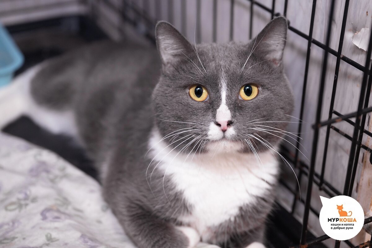 Ручеёк приехал из переполненной квартиры.