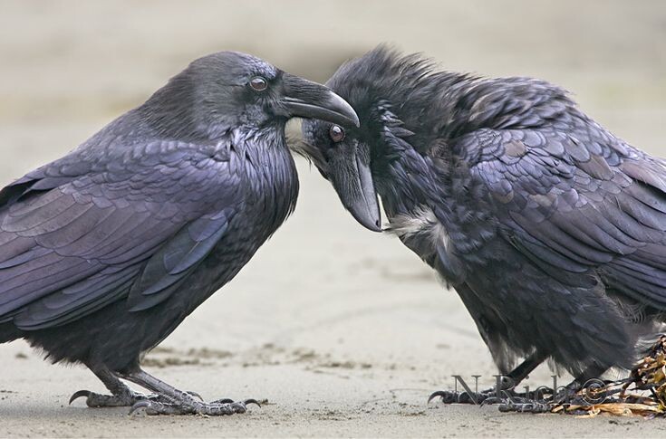 #любовьпосле50 #знакомствадлязрелых #второйшанс #отношениябезиллюзий #мужскойклуб