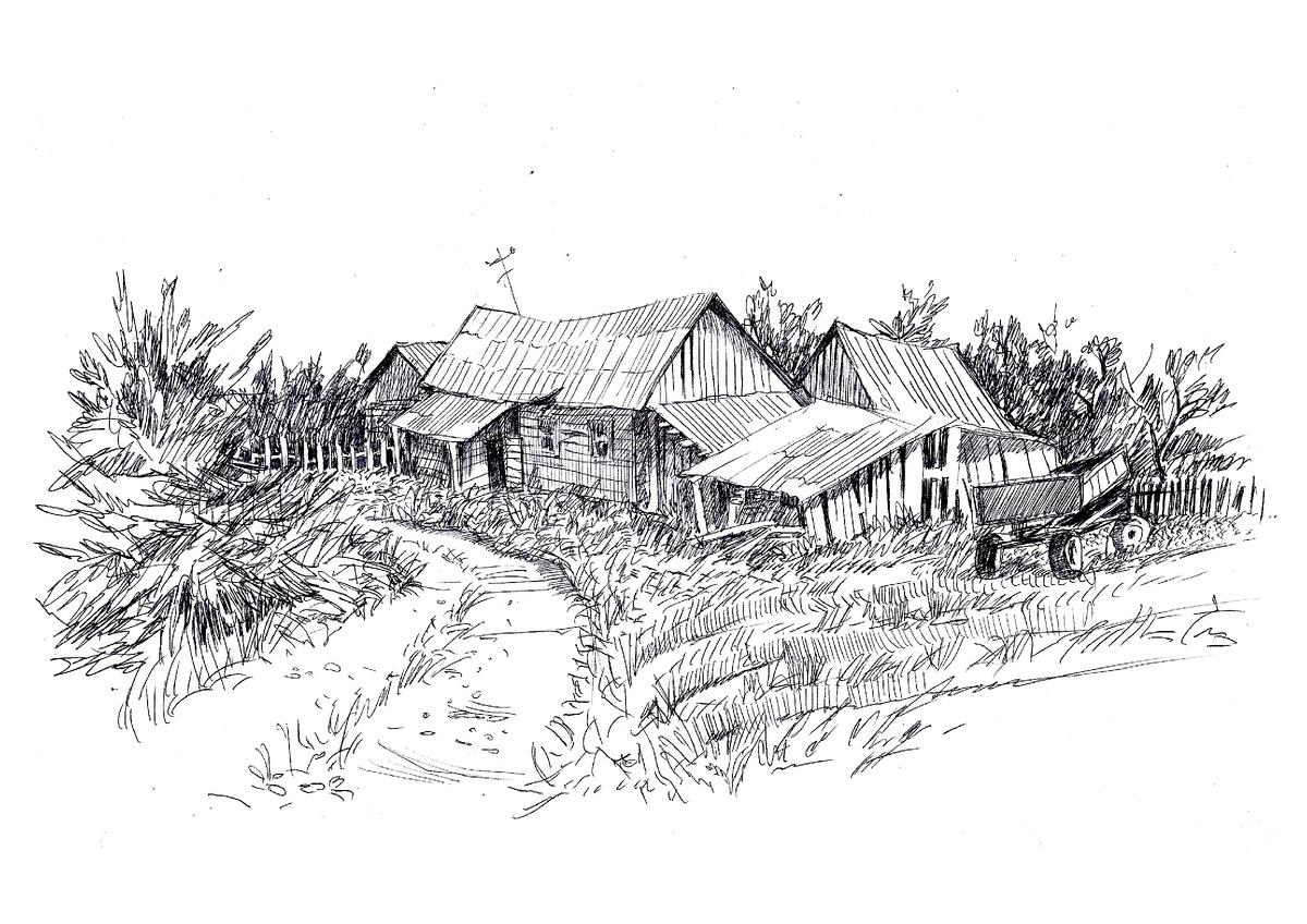 Картинки из интернета.